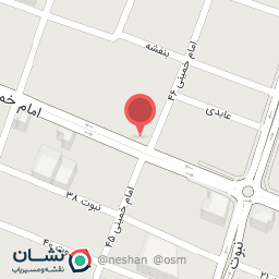 عکس کفش ماهل 