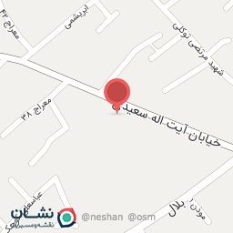 عکس سیم پیچی امیر