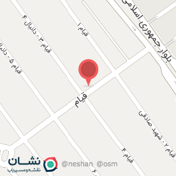 عکس شاورما یاسمین الشام