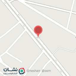 عکس پیتزا امیر