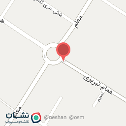 عکس آذر مرغ