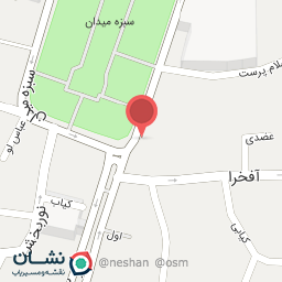 عکس فری برگر 