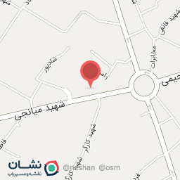 عکس پیتزا میلان