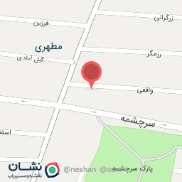 عکس پیتزا پانیذ