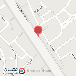 عکس نقرجات محبان الرضا