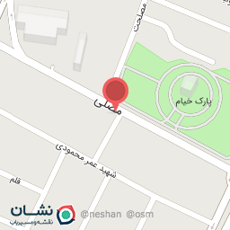 عکس پیتزا کوتال