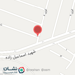 عکس اتو رنگ و دیتیلینگ تخصصی کاریزو