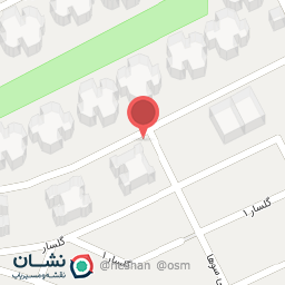 عکس فست فود سعید