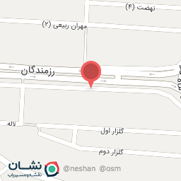 عکس دکتر عاطفه شجری