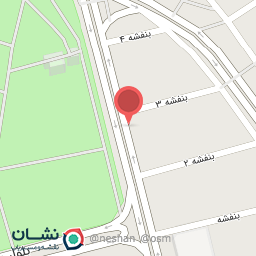 عکس برگر باز