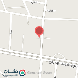 عکس پیتزا ساندویچ عمو پیمان