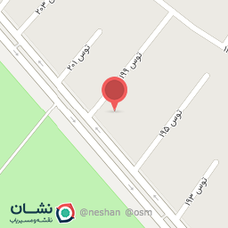 عکس گل آراد 