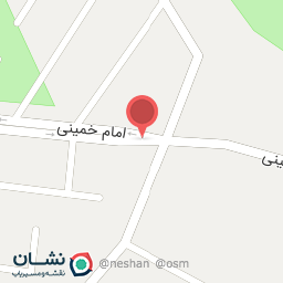 عکس کفش امیر