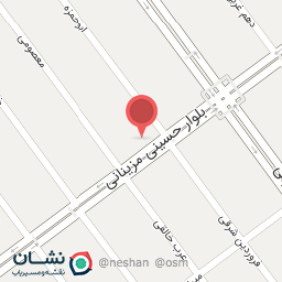 عکس کیف وکفش غزال