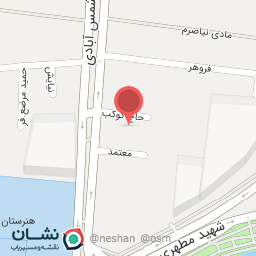 عکس دکتر سیداحمد میرحسینی-مغزاعصاب