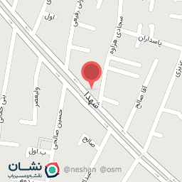 عکس غذاپزی محسن