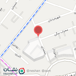 عکس نقره فتحیان