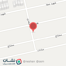 عکس دکتر ملیحه آدینه