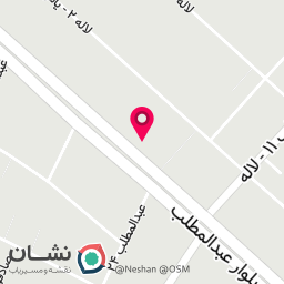 عکس کیف و کفش نیکت
