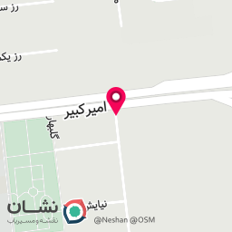 عکس دکتر روانشناس روان درمانگر سمیرا انصاری