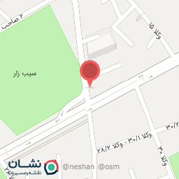 عکس باربیکیو آتیش‌ پاره