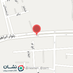 عکس کارشناسی رنگ خودرو داریوش