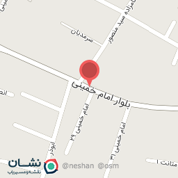 عکس راینا کامپیوتر