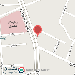 عکس خاتون برگر