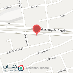 عکس اتو سرویس تخصصی امیر