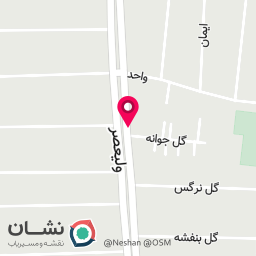 عکس مرغ روز