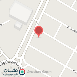 عکس پیتزا ریحون