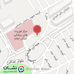 عکس کبابی هورامان