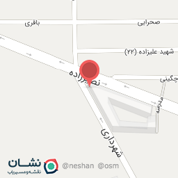 عکس خودپرداز ملی