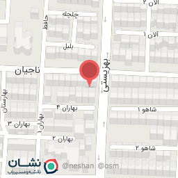 عکس فروشگاه حسنی