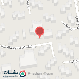 عکس پیتزا اریانا