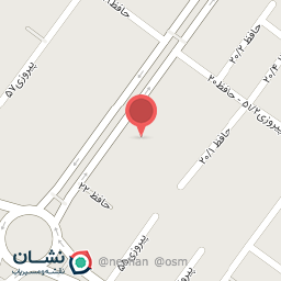 عکس فناوران رایان