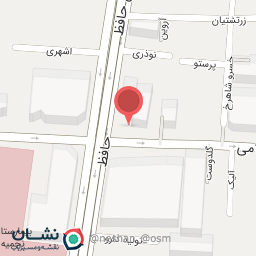 عکس دوربین و دزدگیر زدیکس