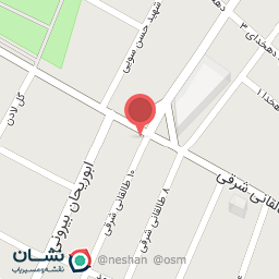 عکس فلافل شیرازی