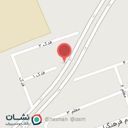 عکس شایان روکش