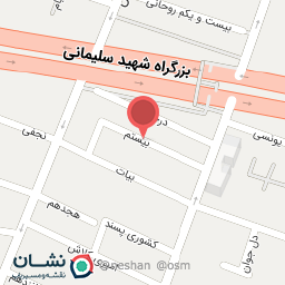 عکس پخش اسباب بازی یلدا تویز