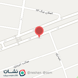 عکس پیتزا پاک