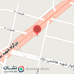 عکس غذای خانگی شیلان