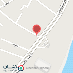 عکس لوازم بدنه و برقی پورفرزی