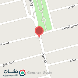 عکس قالی شویی همشهری