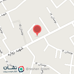 عکس نیک رایانه