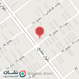 عکس پیتزا پسران بزرگی