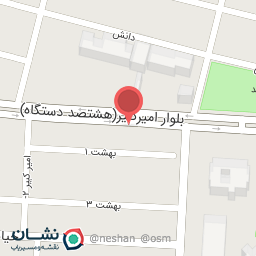 عکس پیتزا ساندویج علی