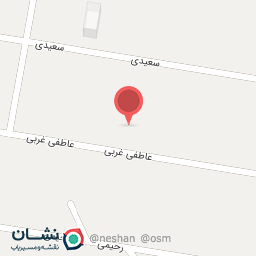 عکس شرکت سورین