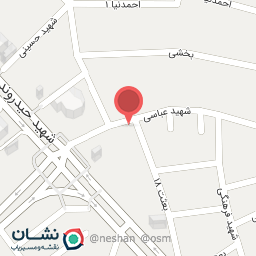 عکس کفش لیدر