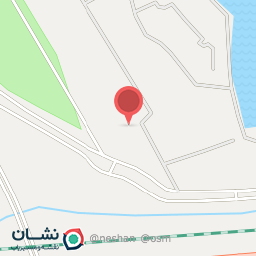 عکس زرده بر - Marbled Polecat